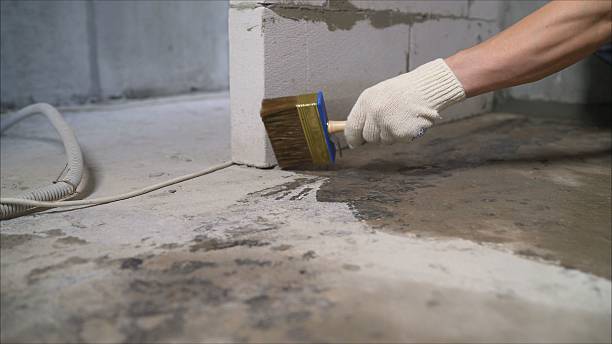 Top rated local Basement Waterproofing specialists in Burr Hill, VA